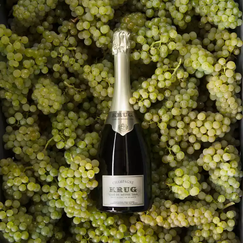 Vincent Leroux, Krug