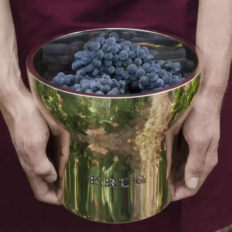Vincent Leroux, Krug
