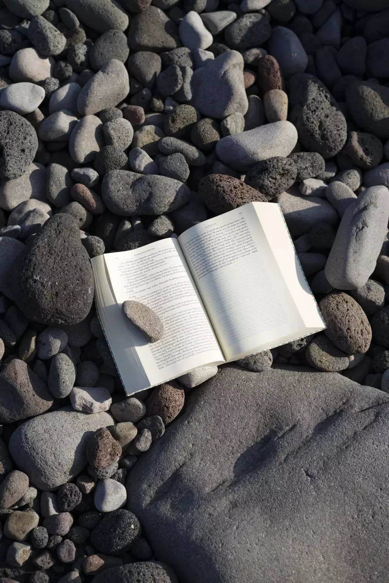 Vincent Leroux, Reading