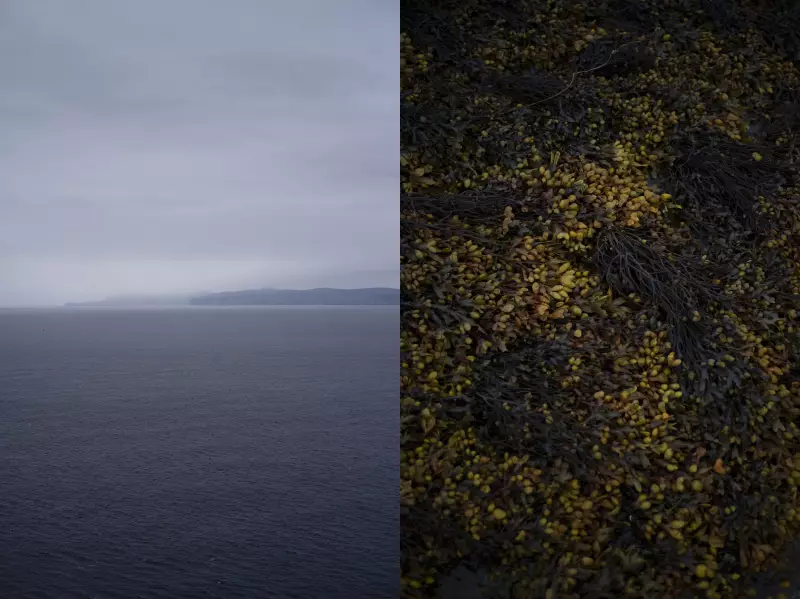 Vincent Leroux, To the Lighthouse