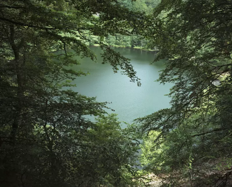 Vincent Leroux, Up North