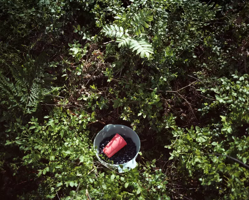 Vincent Leroux, Up North